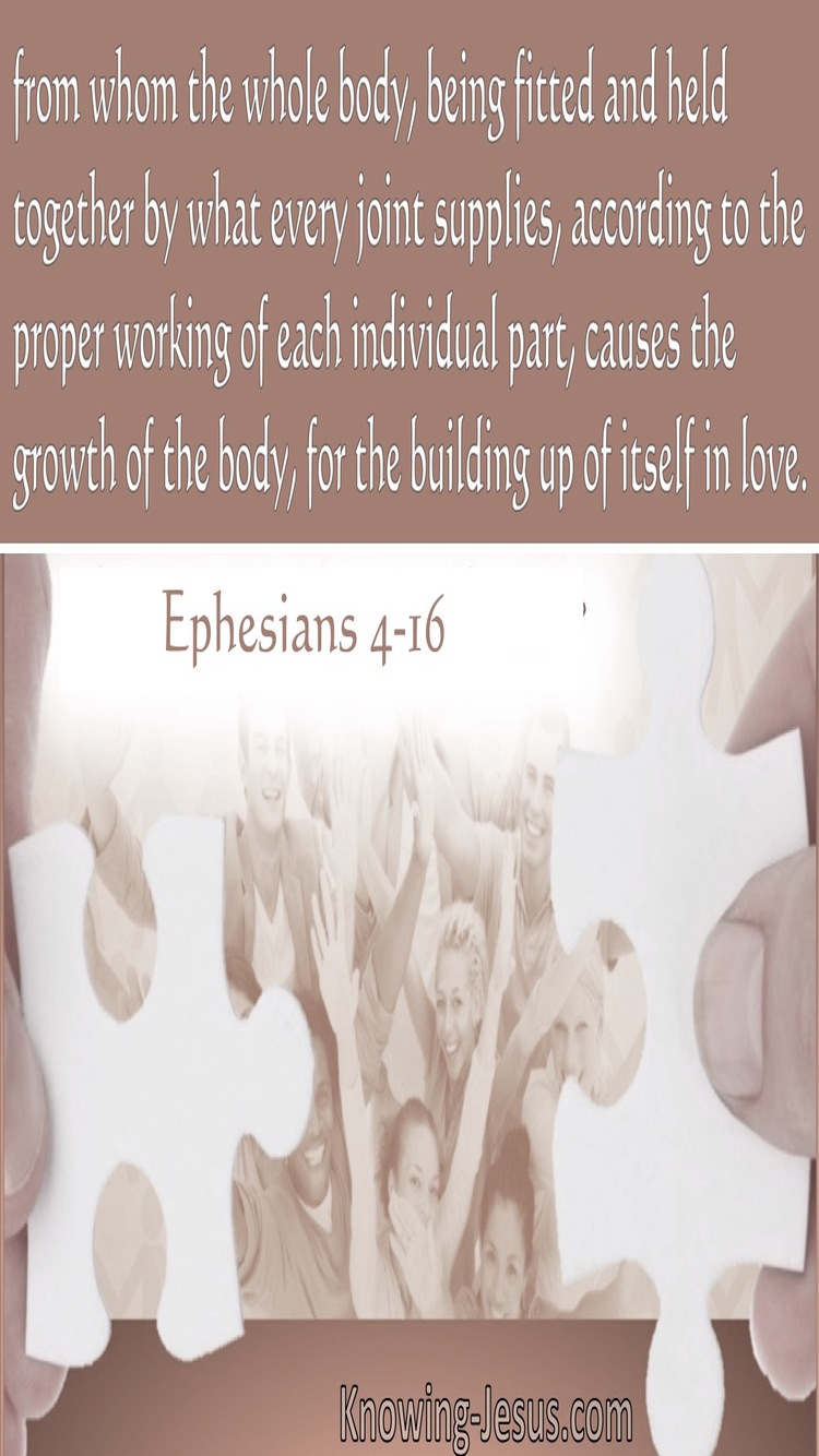 Ephesians 4:16 The Whole Body, Being Fitted And Held Together (brown)